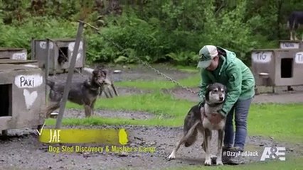 Ozzy & Jack's World Detour S02e09