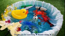 Learn Colors With Wild Zoo Animals Blue Water Shark Toys For Kids Toddlers