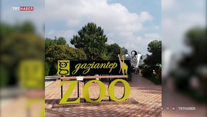 Gaziantep Hayvanat Bahçesi'ni bu yıl 4 milyon kişi ziyaret etti