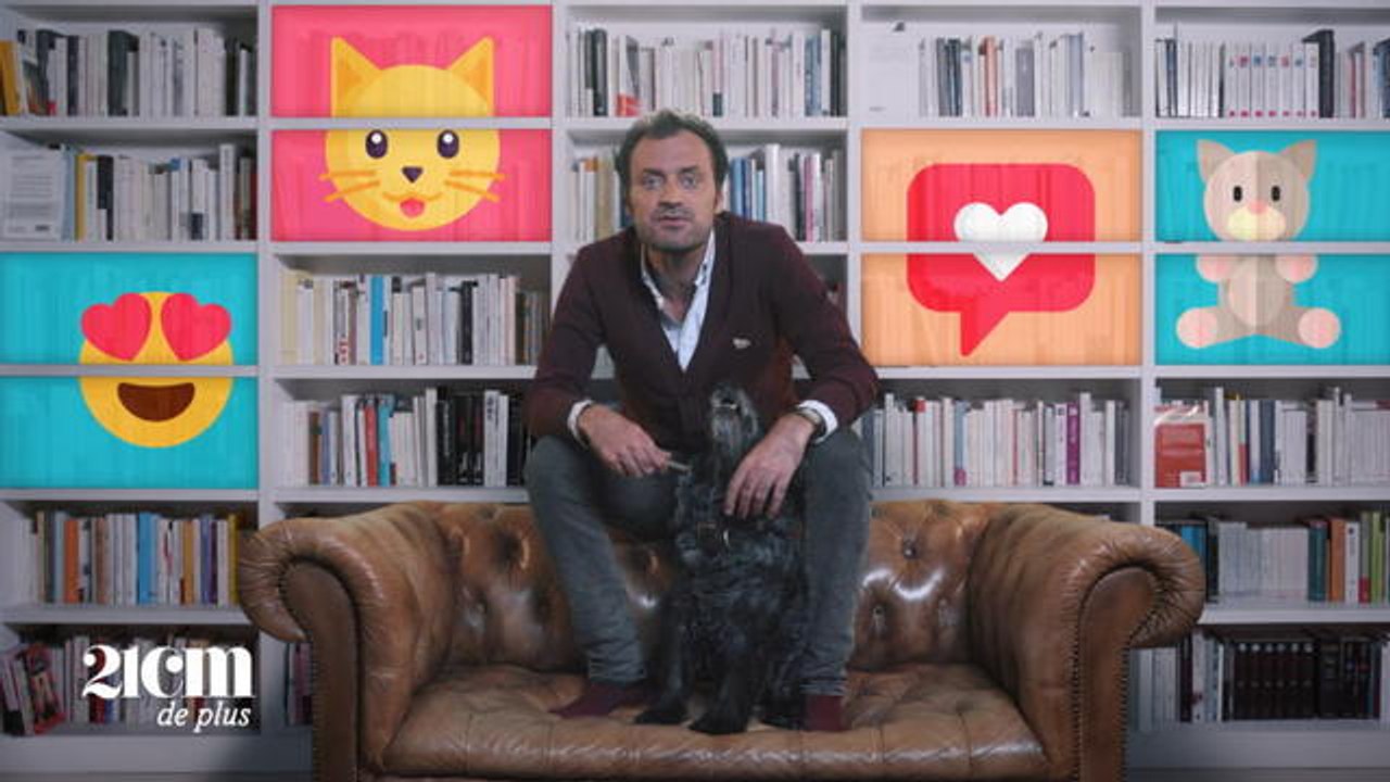 "Il nous faudrait des mots nouveaux" de Laurent Nunez - 21CM de plus – CANAL+