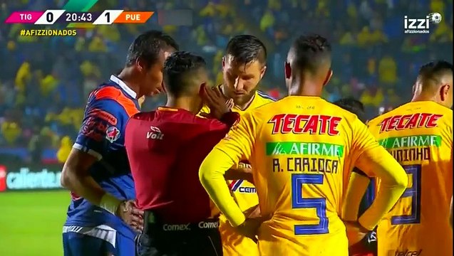 Tigres UANL vs Puebla 6-1 All Goals & Highlights