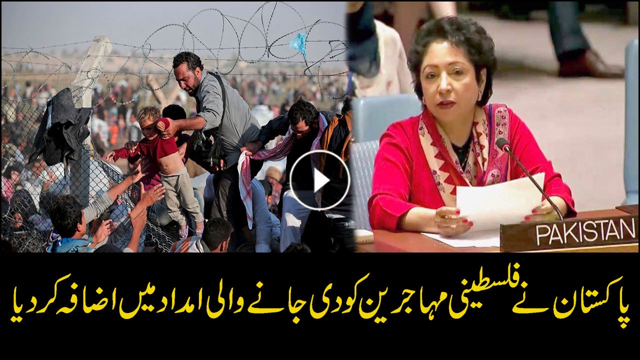 Pakistan will continue to support Palestine, says Lodhi