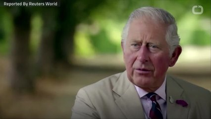 Britain's Prince Charles Says He's 'Not That Stupid'