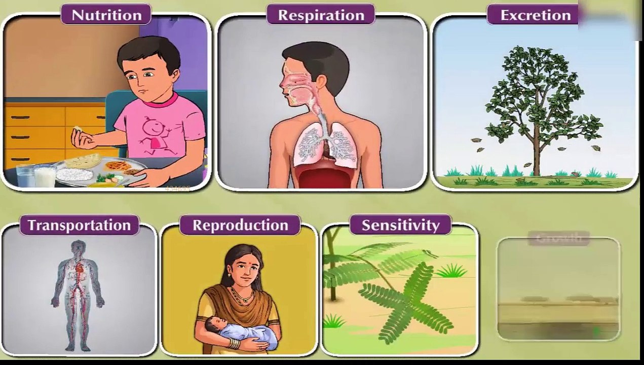Science II _ Chapter 02 _ Part 01