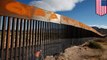 Dinding perbatasan Trump dapat rusak tumbuhan dan satwa liar  - TomoNews