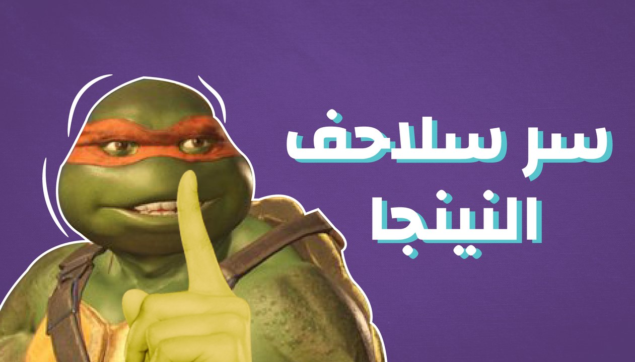سر سلاحف النينجا