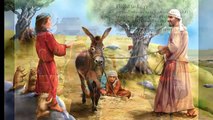 I Love the Holy Land  I love Jesus - New Kids Book