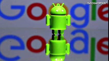 Whatsapp borrara tus mensajes el 12 de noviembre, así puedes evitarlo