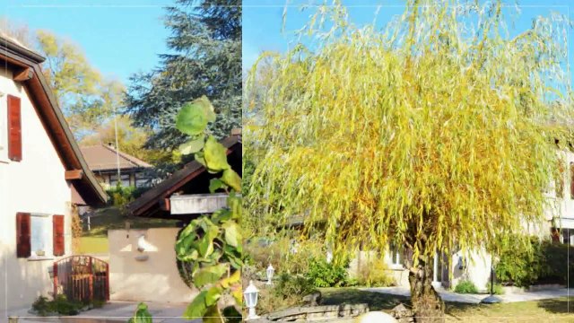 A vendre - Maison - Jouxtens-Mézery (1008) - 5.5 pièces - 125m²