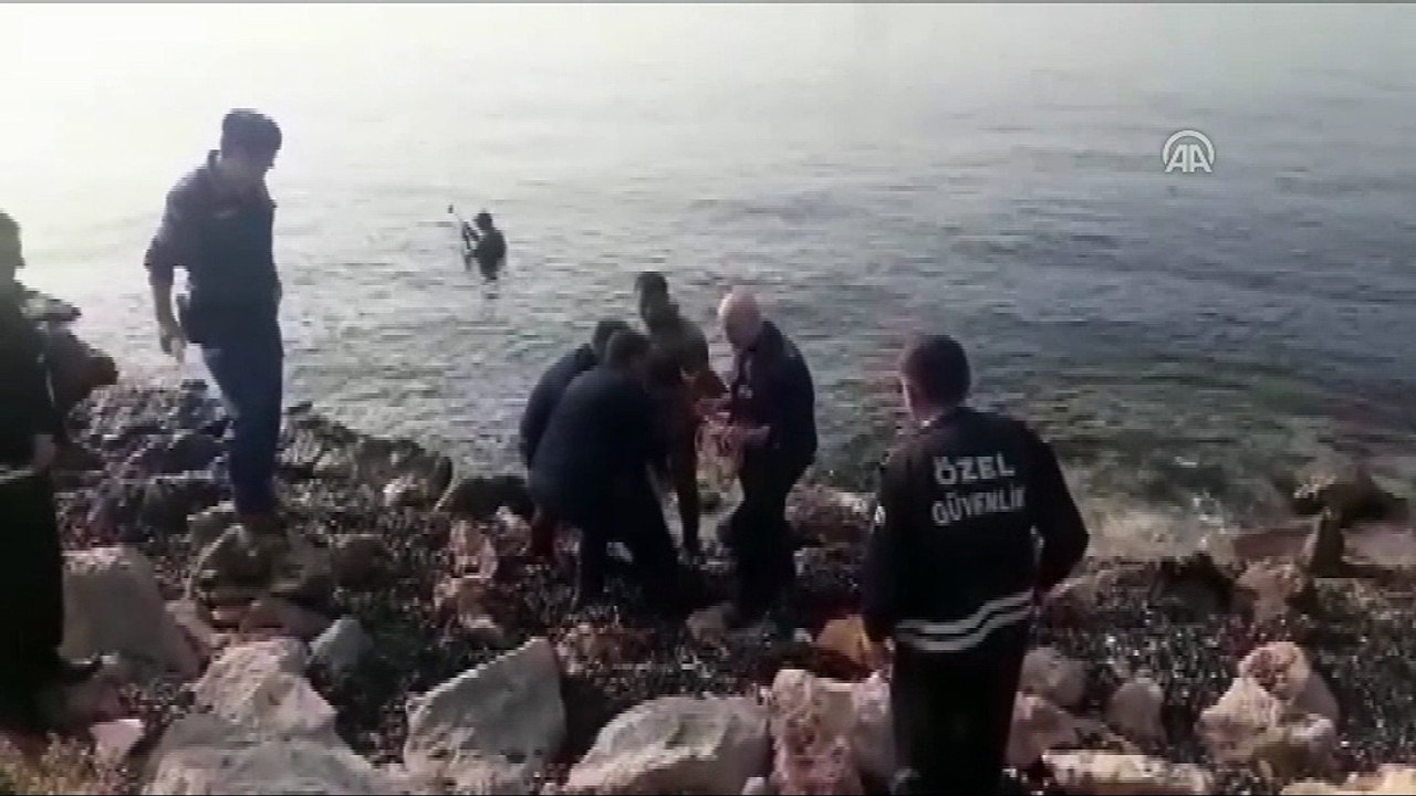 Köpeklerden kaçarken denize atlayan ceylan kurtarıldı - KOCAELİ