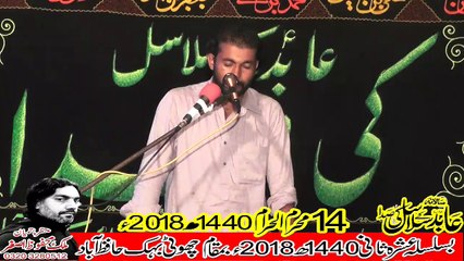 Zakir Asad Abbas Haidry Vanikay Tarar 14th Muhram 1440(2018) Choti Behak Hafizabad
