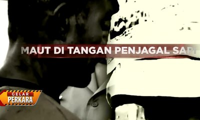 Kisruh Transaksi Pembelian Sapi yang Berujung Tewasnya Rekan Bisnis