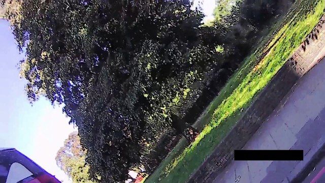 LK66 HBG 133 bus verbal abuse and attempted to knock me off the road