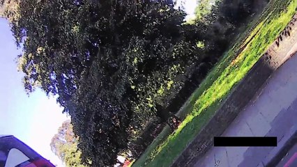 LK66 HBG 133 bus verbal abuse and attempted to knock me off the road