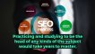 SEO Backlink Packages & Services