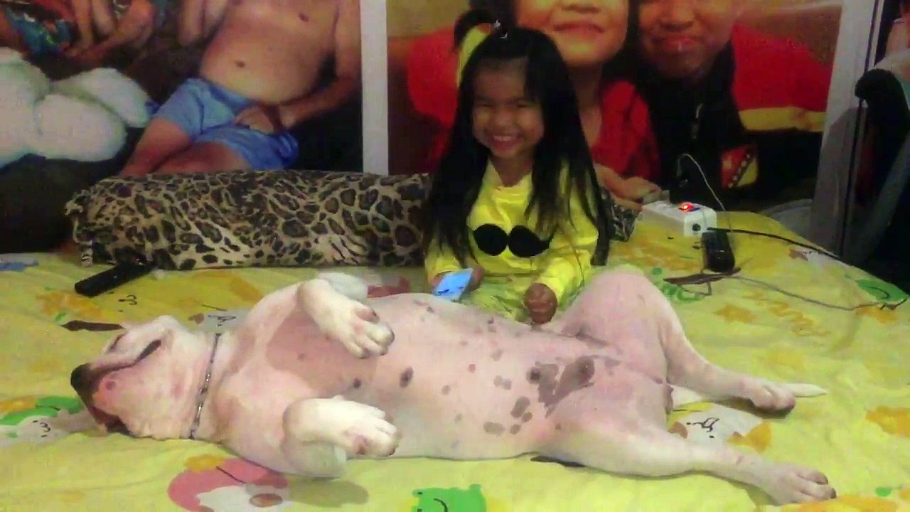 Ce chien adore les gratouilles que lui fait cette fille