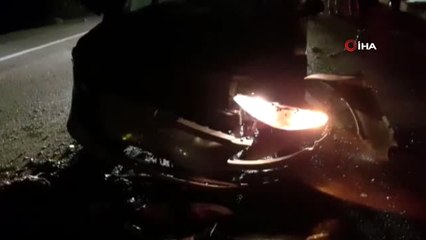 Hassa Karayolunda Kaza: Onlarca Hayvan Telef Oldu