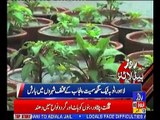 Roze Headline 9AM 13th November 2018 Roze News