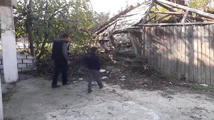 Patisi Kesik Bulunan Köpek Tedaviye Alındı