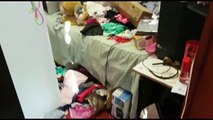 Ladrões deixam a maior bagunça em residência durante furto