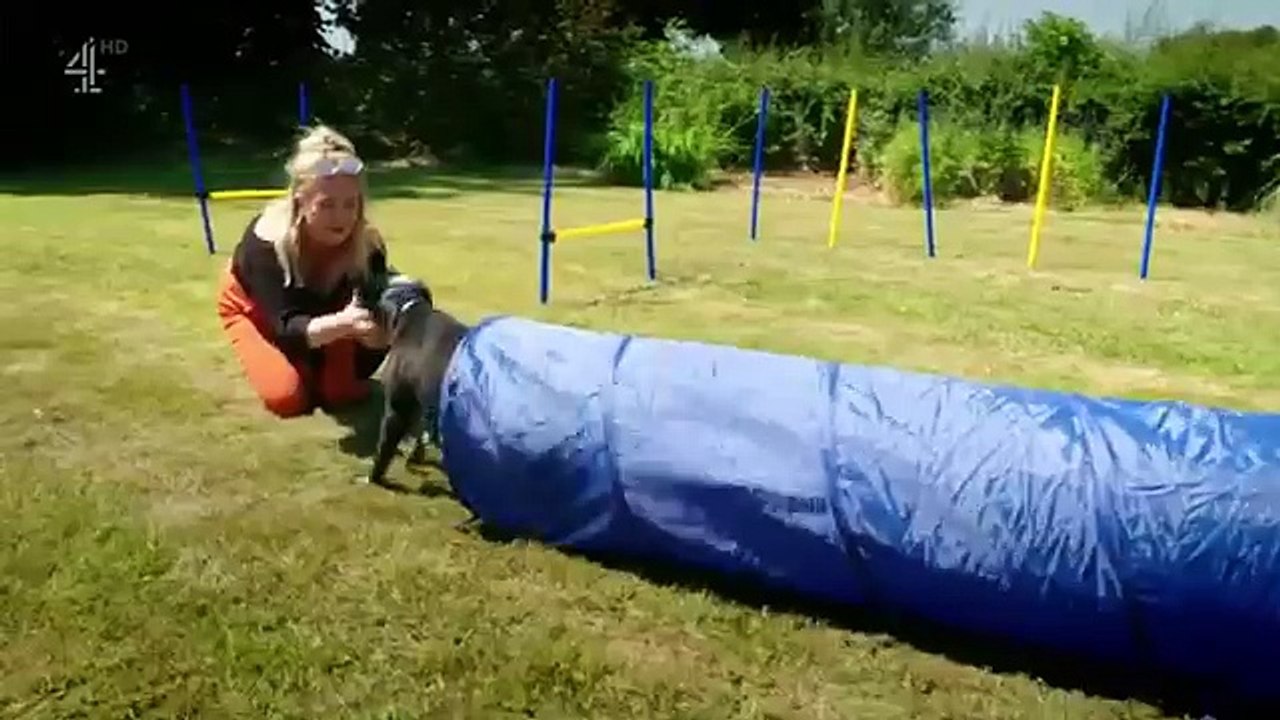 Embarrassing Pets Season 1 Episode 10