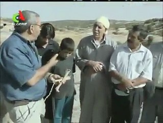 Presque un millier de squelettes découverts dans un charnier à Tlemcen