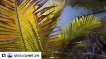 telladventure repost from Instagram Glimpse of a #Rodrigues Trip... #vanillaislandsAperçu d’un voyage à Rodrigues...#ilesvanille