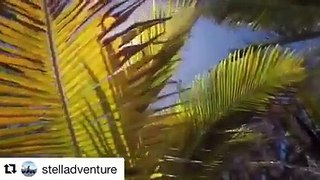 telladventure repost from Instagram Glimpse of a #Rodrigues Trip... #vanillaislandsAperçu d’un voyage à Rodrigues...#ilesvanille