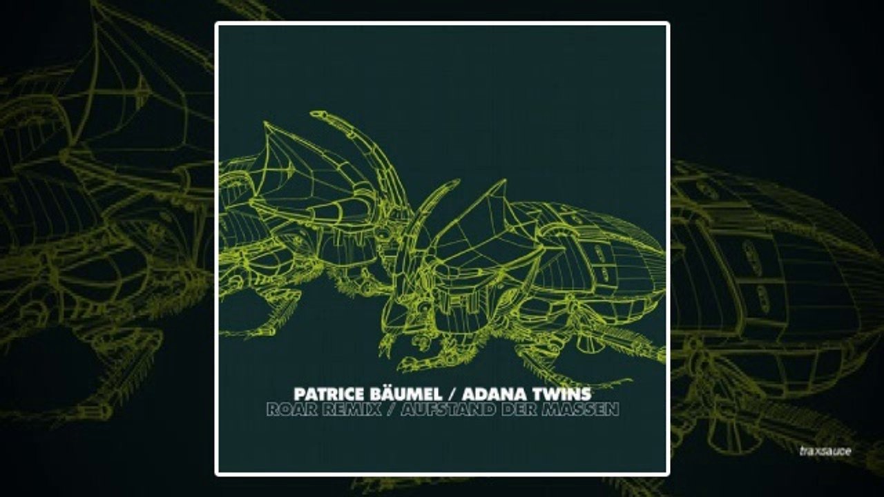 Patrice Bäumel - Roar (Adana Twins Remix)