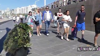 Dog scared to death _ Bushman Prank