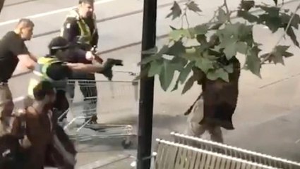 Melbourne'da Bıçaklı Saldırganı Market Arabasıyla Engelleyen Evsize Yardım Yağıyor
