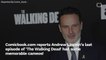 Rick Grimes' 'Walking Dead' Departure Has Amazing Cameos