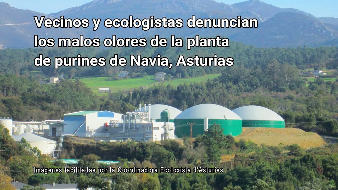 Ecologistas denuncian al Principado de Asturias los malos olores que sufren los vecinos de Navia