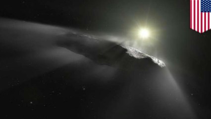 Harvard scientists think this maybe an alien probe