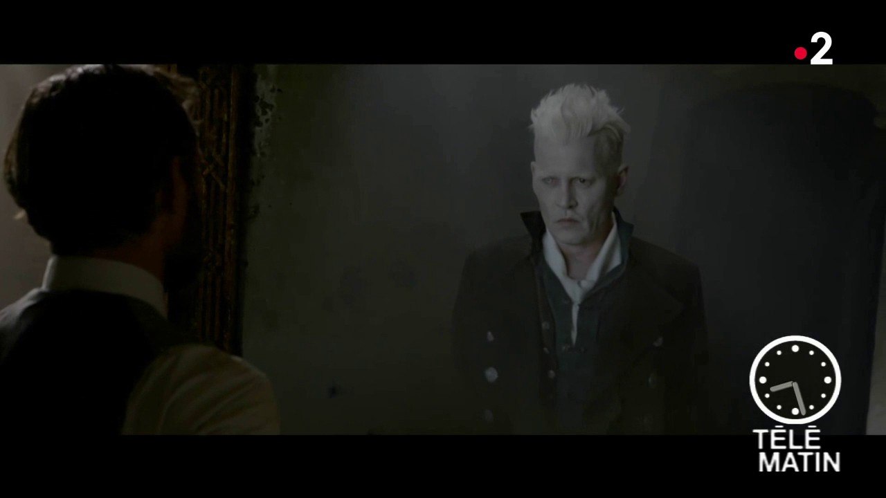 Cinéma - « Les animaux fantastiques » de David Yates