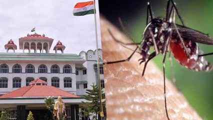 டெங்கு, பன்றிக் காய்ச்சல் தடுப்புக்கு நடவடிக்கை என்ன? ஹைகோர்ட் அதிரடி- வீடியோ