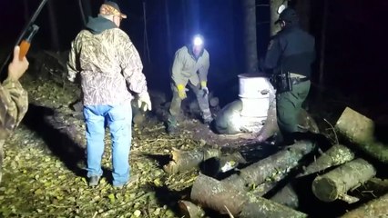 Ils trouvent un ours la tête coincée dans un baril et le libèrent