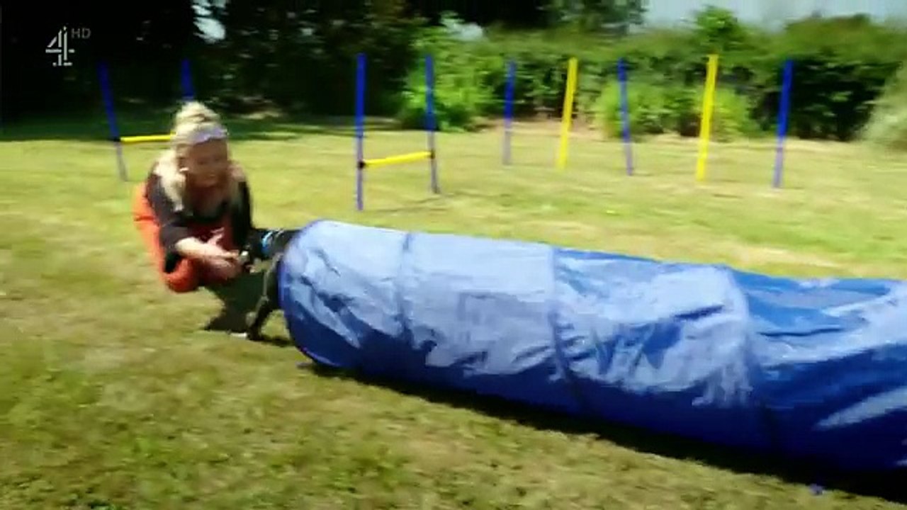 Embarrassing Pets Season 1 Episode 8