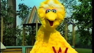 Sesame Street - Wolfgang Chases Wanda The Fish