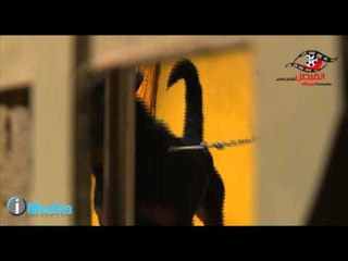 Al Serdab Bloopers / برنامج السرداب - لقطات غريبة - كلب يعض علاء مرسى فى الأستوديو
