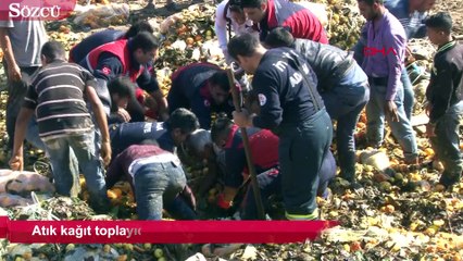 Télécharger la video: Atık kağıt toplayıcısını kurtarmak için seferber oldular