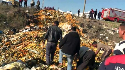 Çürük narenciye yığınının altında kalarak yaralandı - ADANA