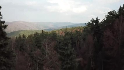 Скачать видео: Bozüyük'te Sonbaharda Renk Cümbüşü - Bilecik