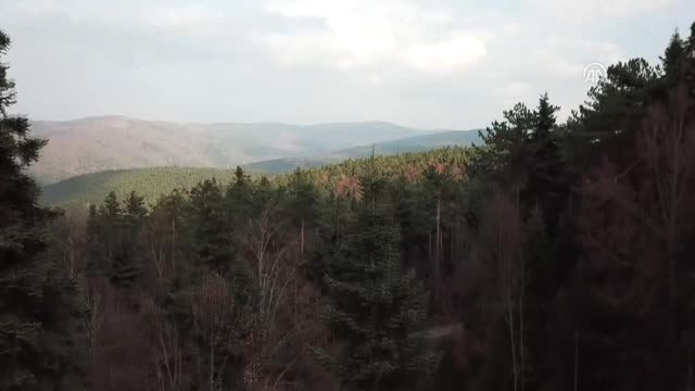 Bozüyük'te Sonbaharda Renk Cümbüşü - Bilecik