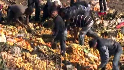 Tarlaya dökülen narenciye posası altında kalan 15 yaşındaki kağıt toplayıcısı çocuk yaralı olarak kurtarıldı