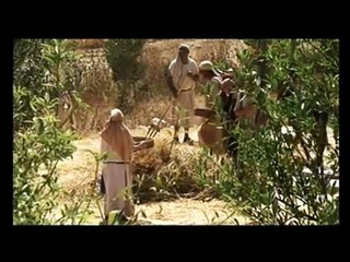 THE WHEAT HARVEST - Holy Land Kitchen Products