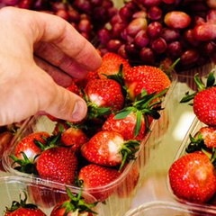 Ex-farm supervisor charged over Australia strawberry sabotage