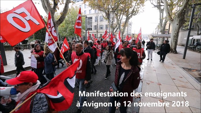 Manifestation des enseignants à Avignon