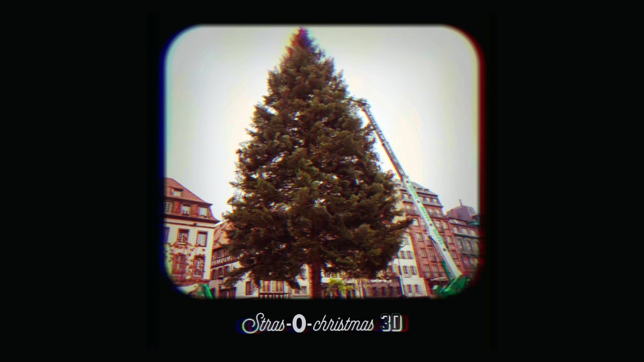 Comment réaliser le plus beau des sapins en 4 étapes