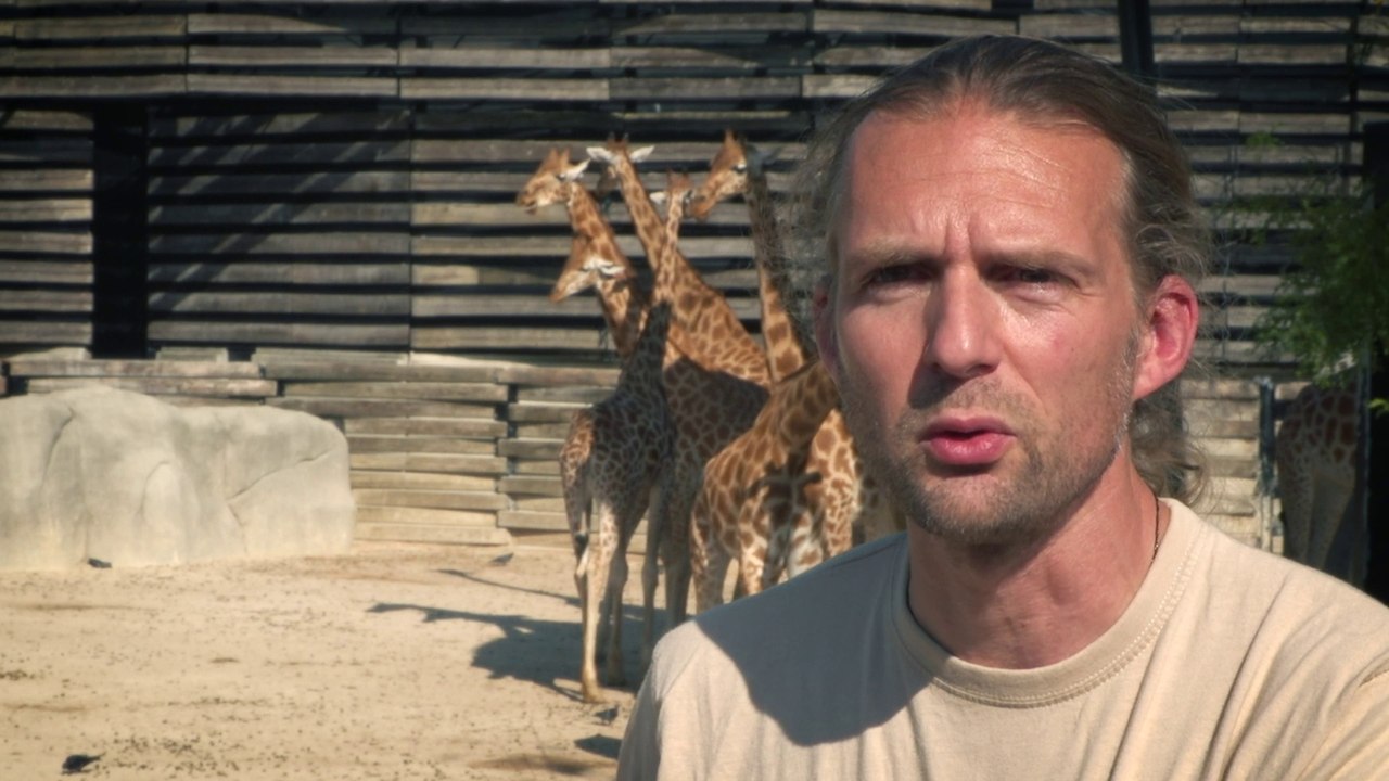 Le zoo de Vincennes, une installation classée pour la protection de l'environnement (ICPE)